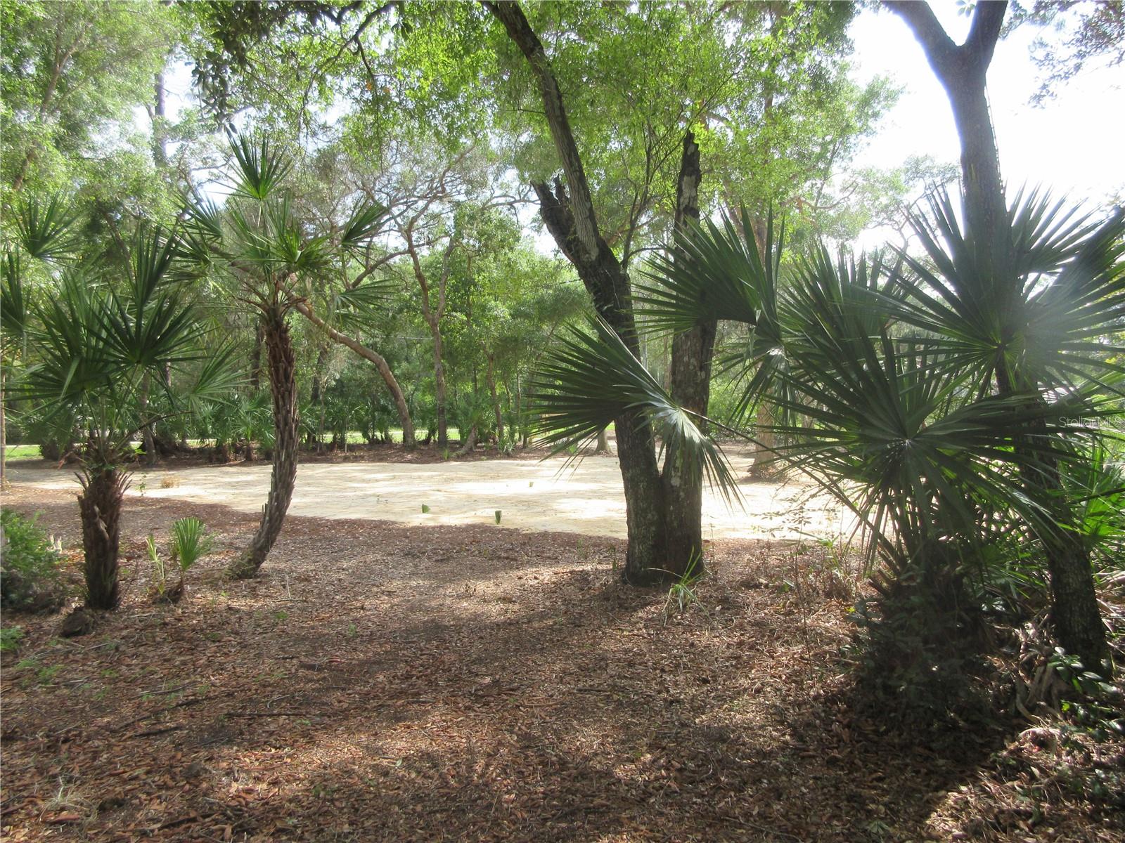 0 SE 10TH ST, SILVER SPRINGS, FL, 34488