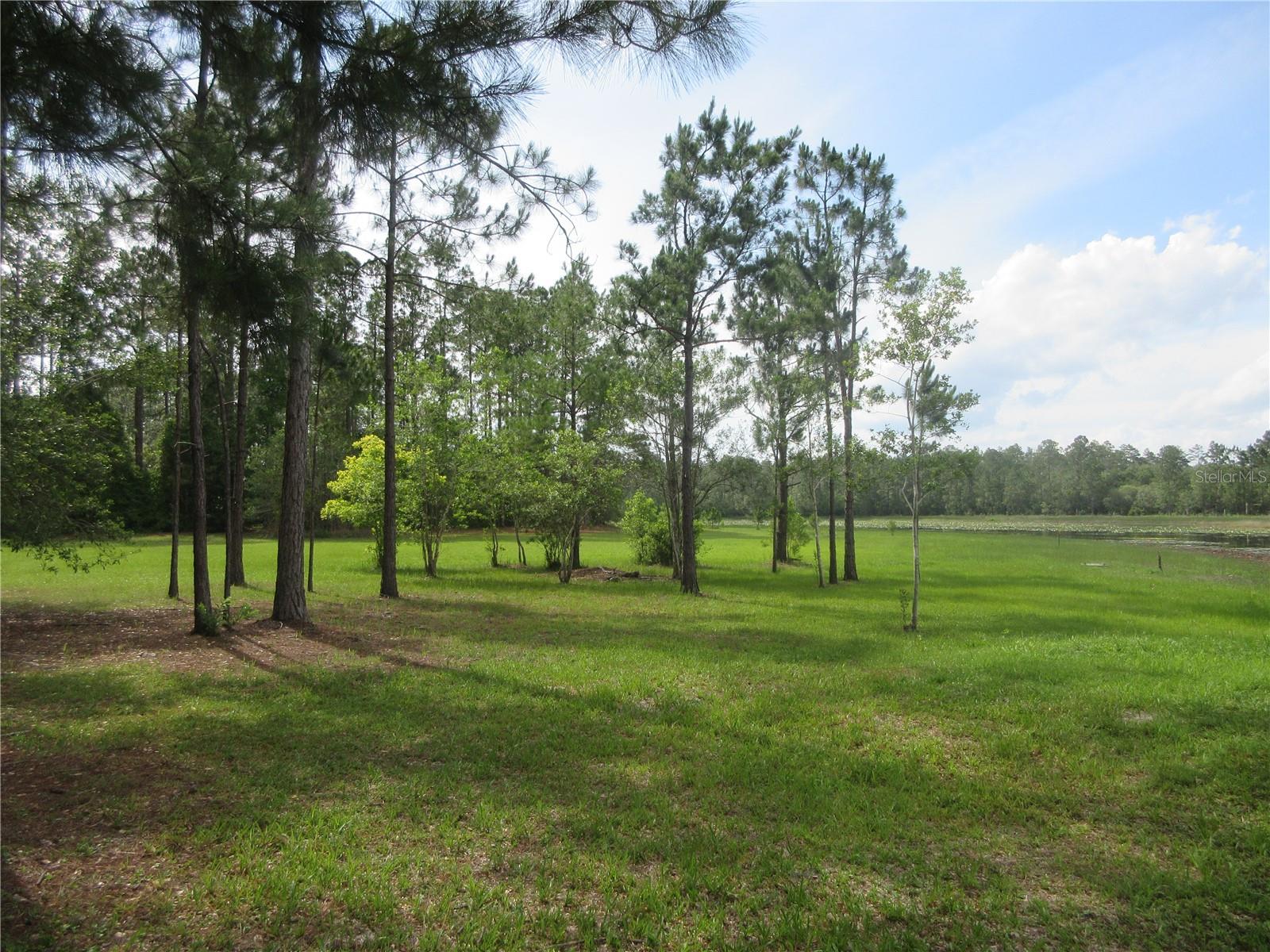 0 SE 10TH ST, SILVER SPRINGS, FL, 34488