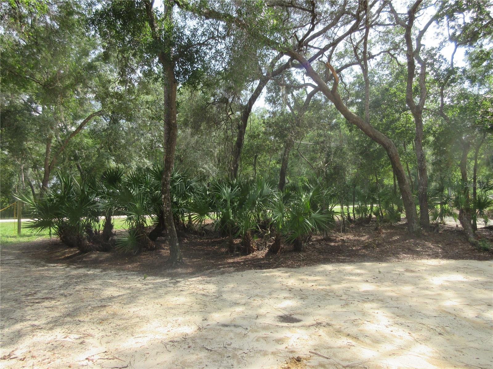 0 SE 10TH ST, SILVER SPRINGS, FL, 34488