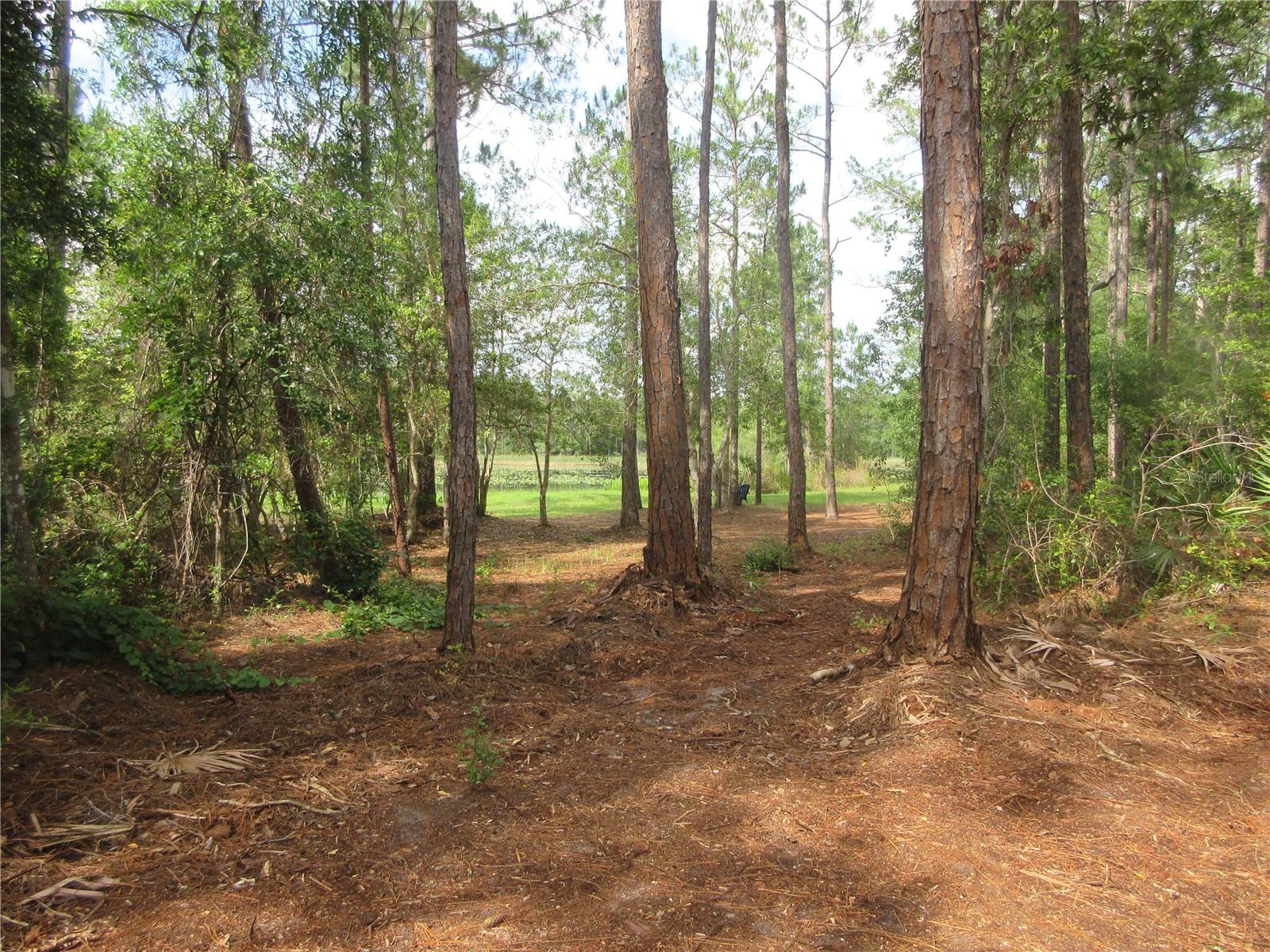 0 SE 10TH ST, SILVER SPRINGS, FL, 34488