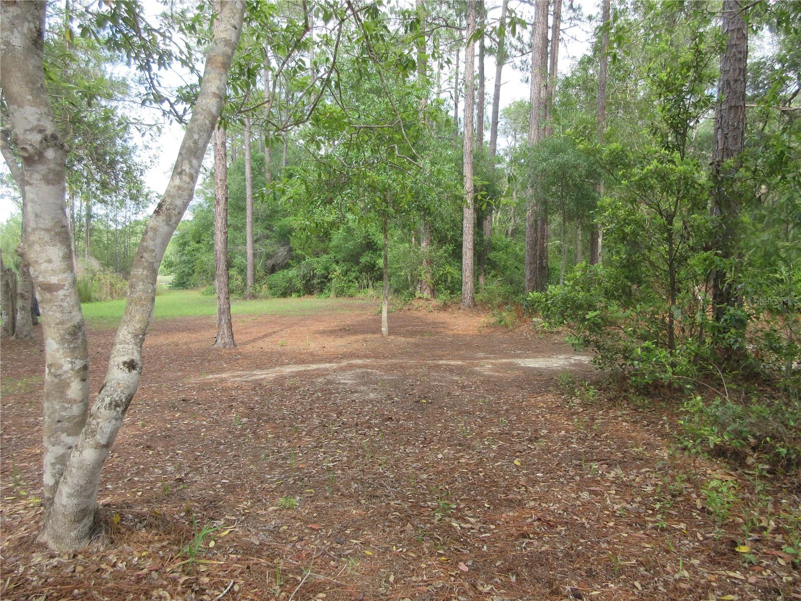 0 SE 10TH ST, SILVER SPRINGS, FL, 34488