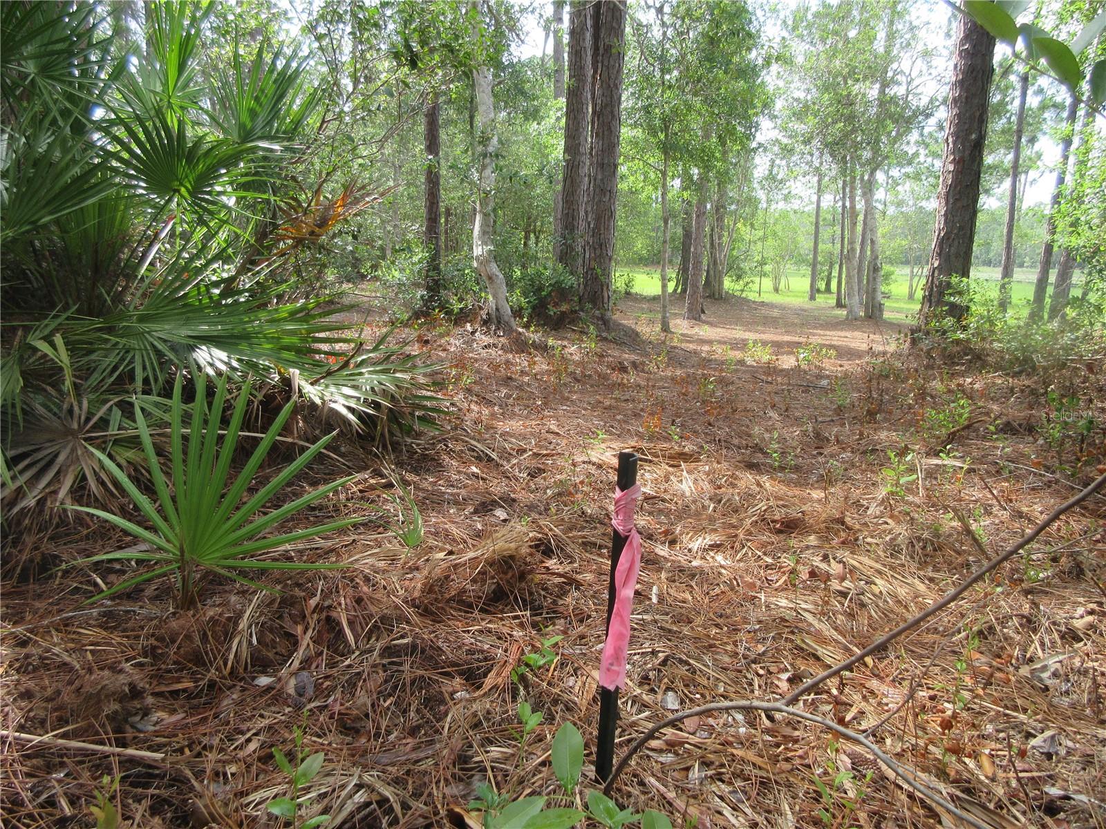 0 SE 10TH ST, SILVER SPRINGS, FL, 34488