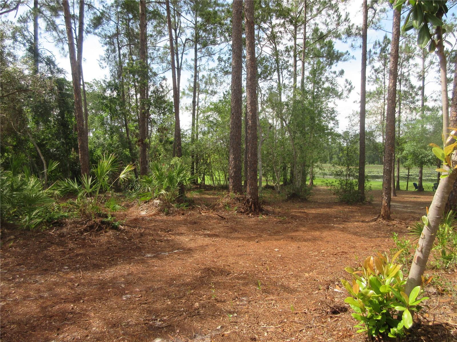 0 SE 10TH ST, SILVER SPRINGS, FL, 34488