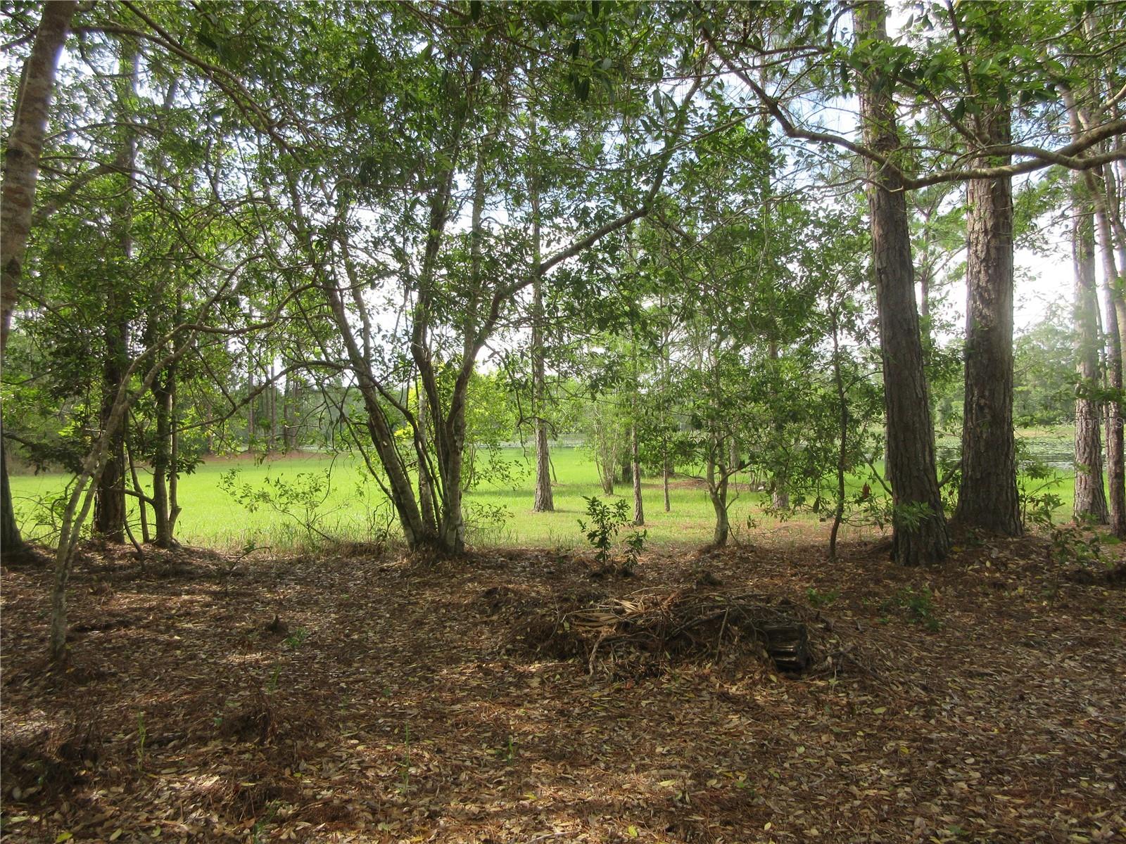 0 SE 10TH ST, SILVER SPRINGS, FL, 34488