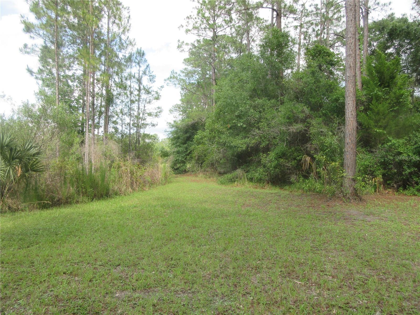 0 SE 10TH ST, SILVER SPRINGS, FL, 34488