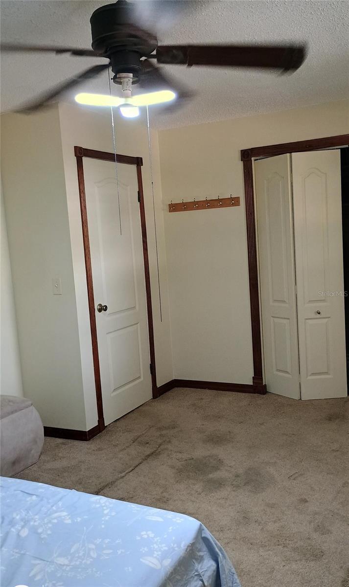 11727 WESSON CIR, TAMPA, FL, 33618