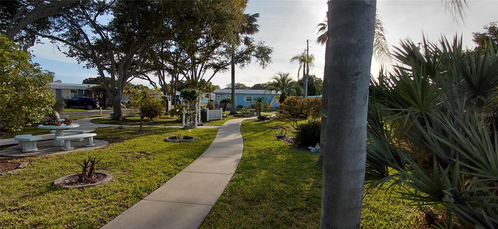 221 HERON RD, CLEARWATER, FL, 33764