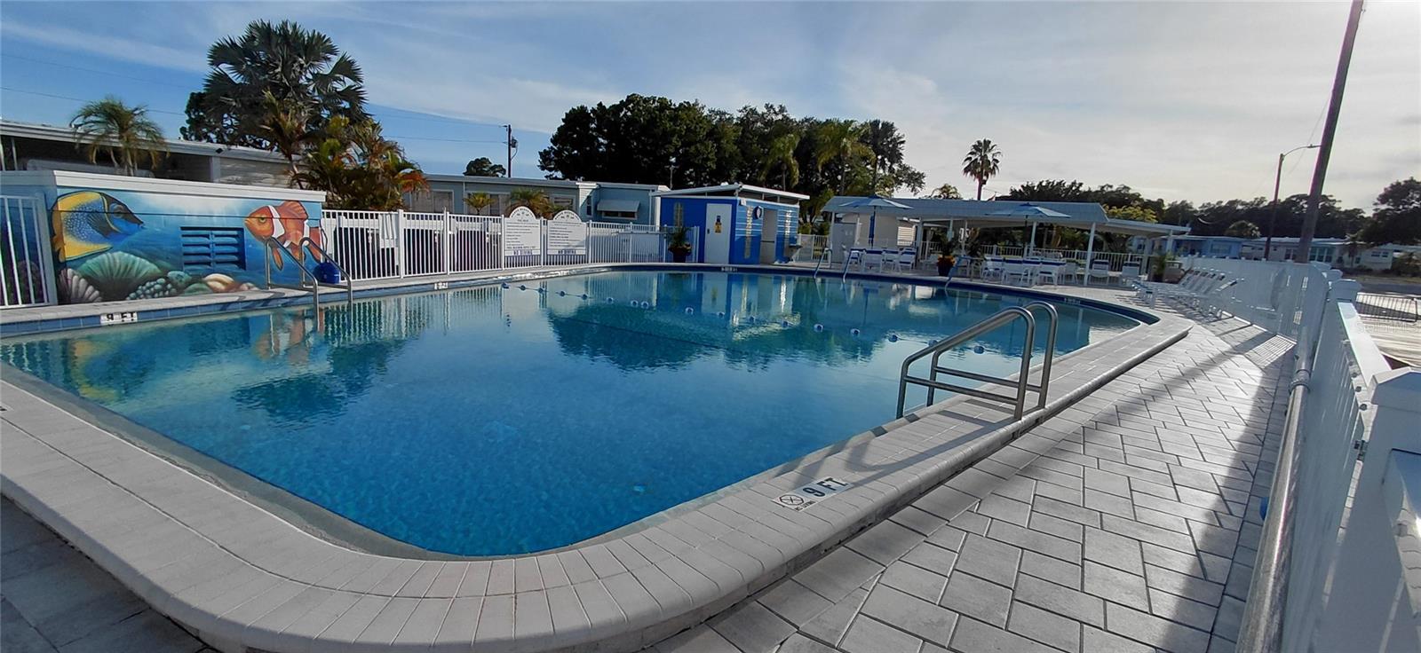 221 HERON RD, CLEARWATER, FL, 33764