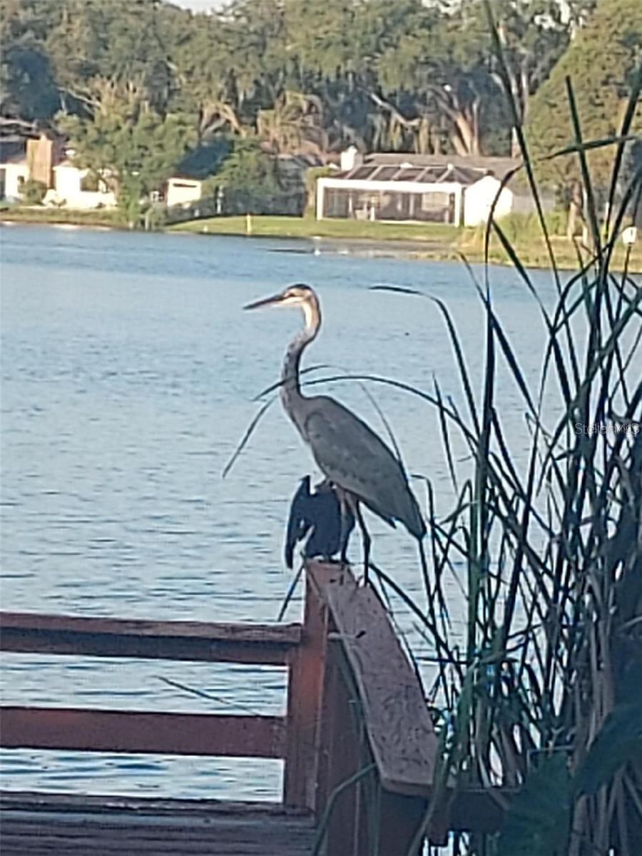 506 GAY RD, SEFFNER, FL, 33584