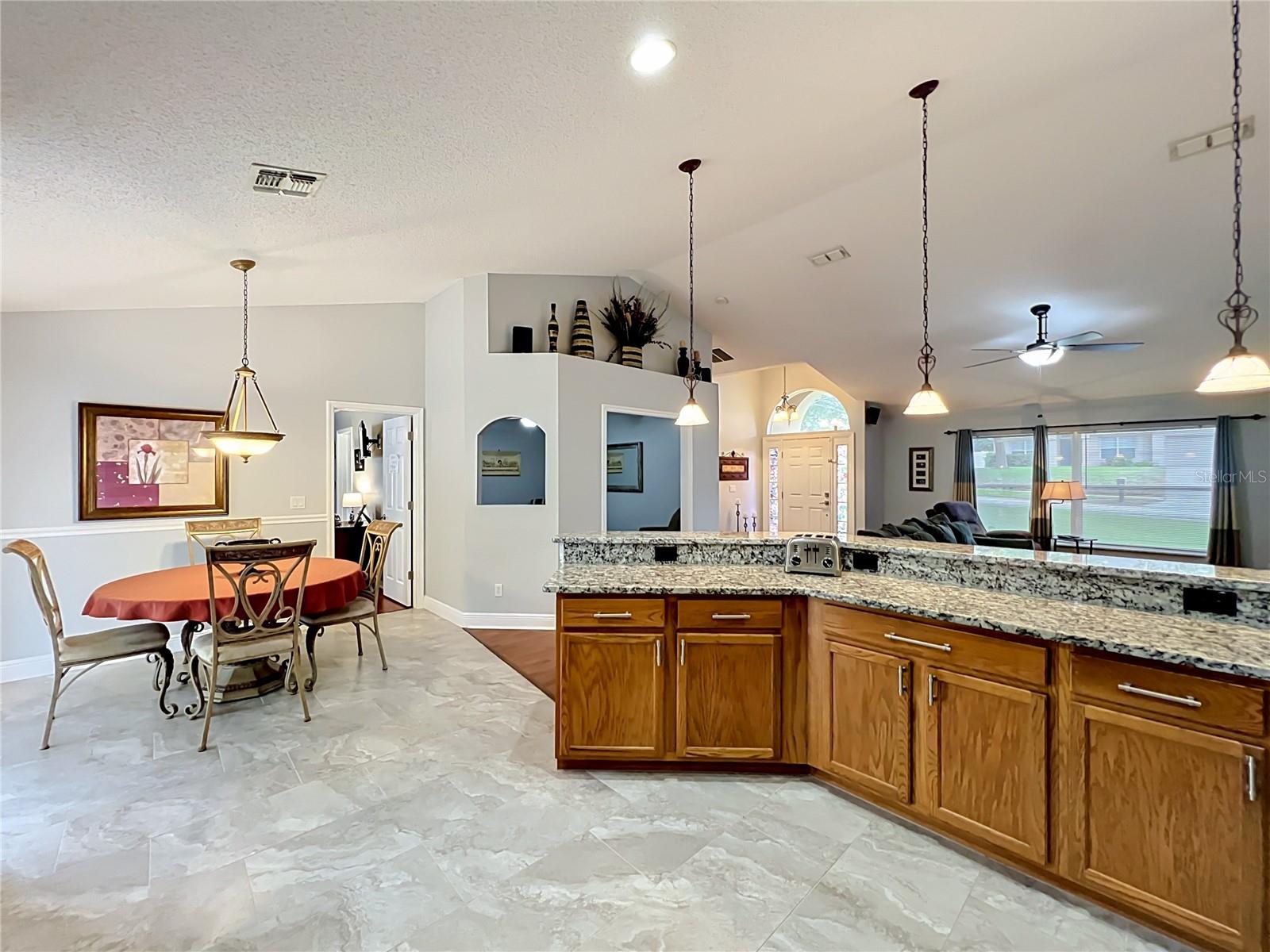 1123 LAKEVIEW OAKS DR, MINNEOLA, FL, 34715