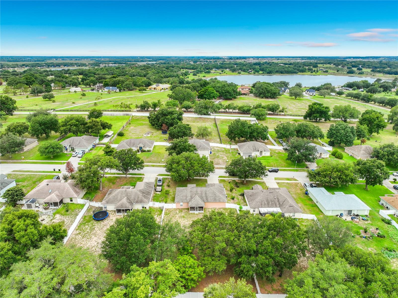 1123 LAKEVIEW OAKS DR, MINNEOLA, FL, 34715