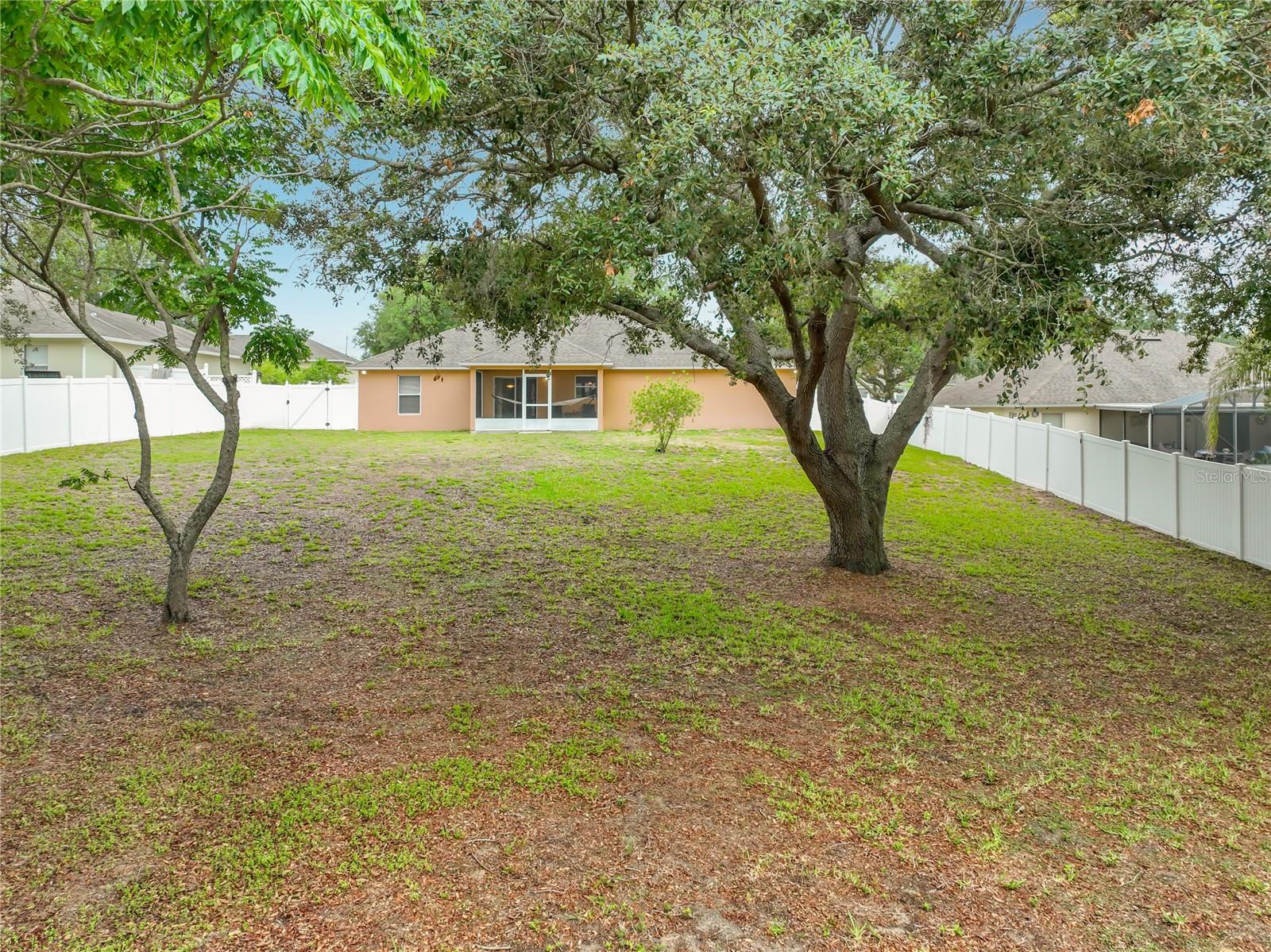 1123 LAKEVIEW OAKS DR, MINNEOLA, FL, 34715