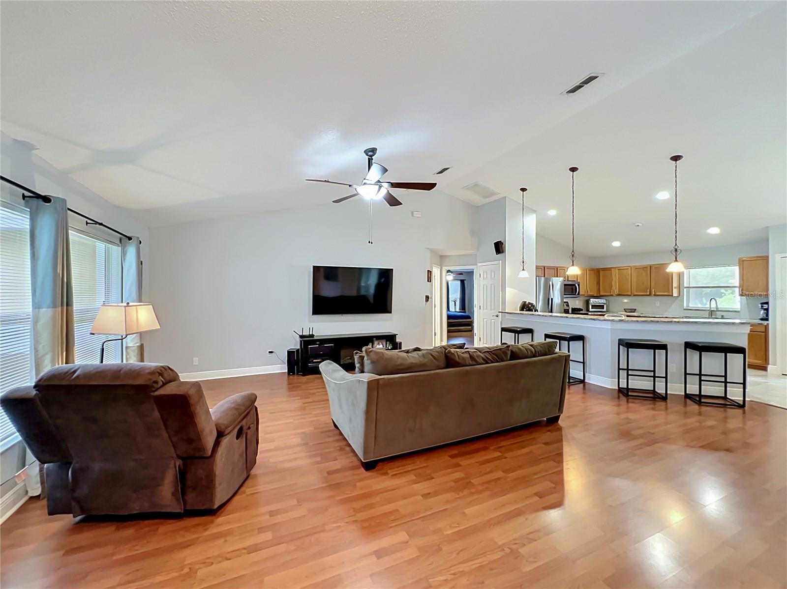 1123 LAKEVIEW OAKS DR, MINNEOLA, FL, 34715
