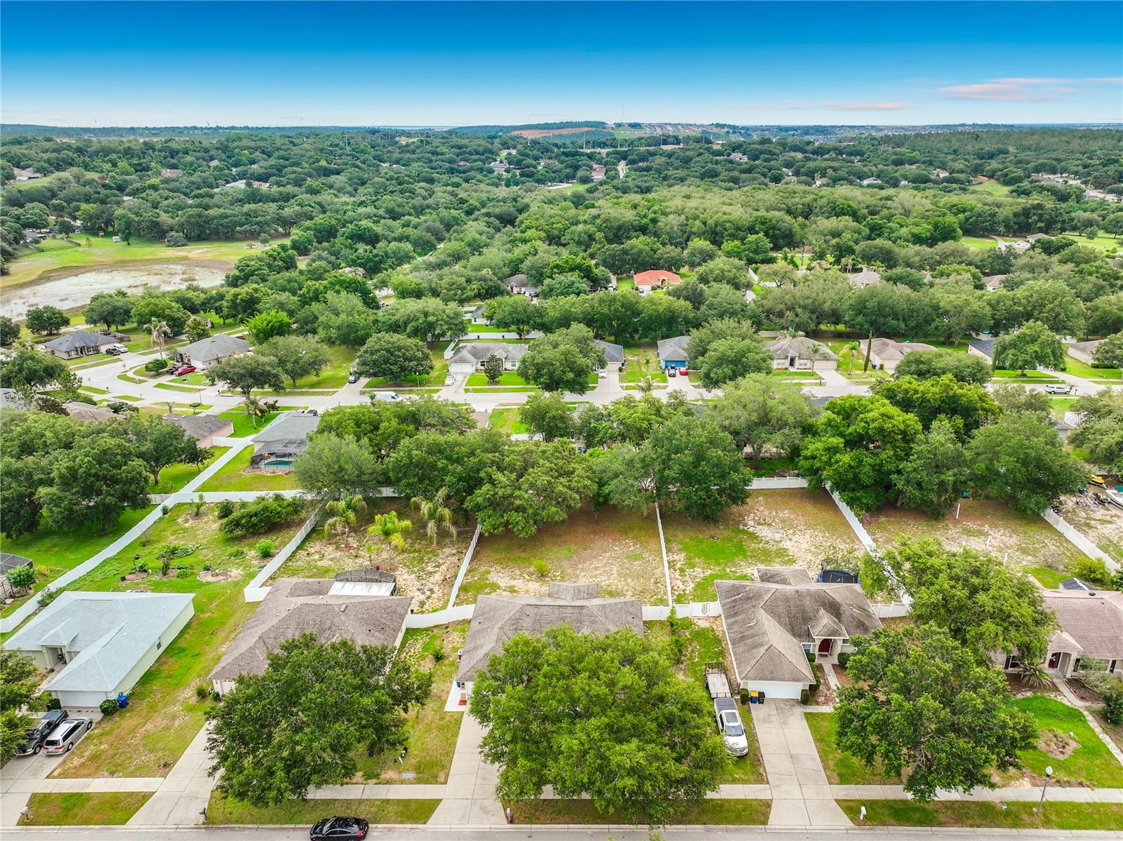 1123 LAKEVIEW OAKS DR, MINNEOLA, FL, 34715