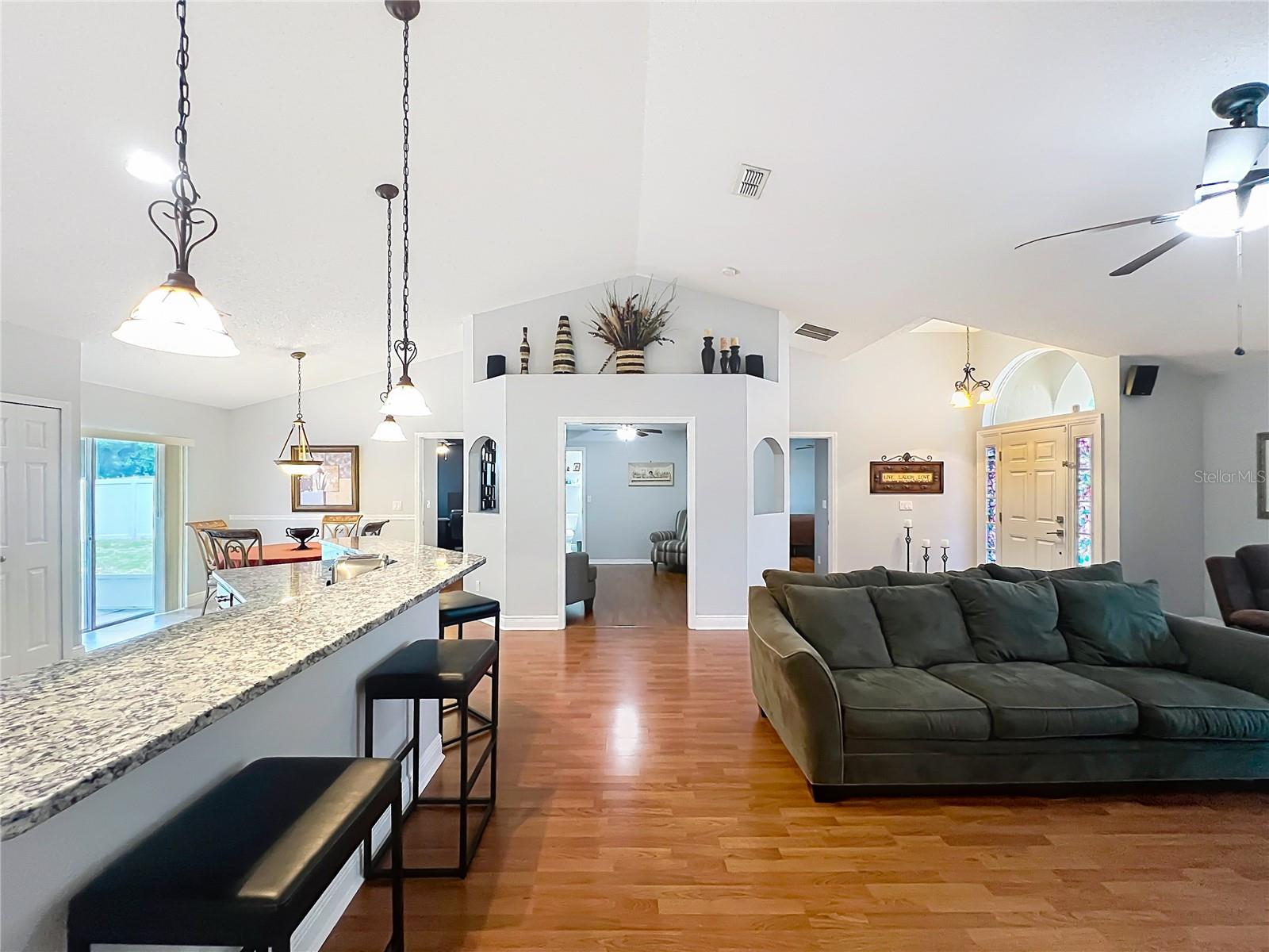 1123 LAKEVIEW OAKS DR, MINNEOLA, FL, 34715