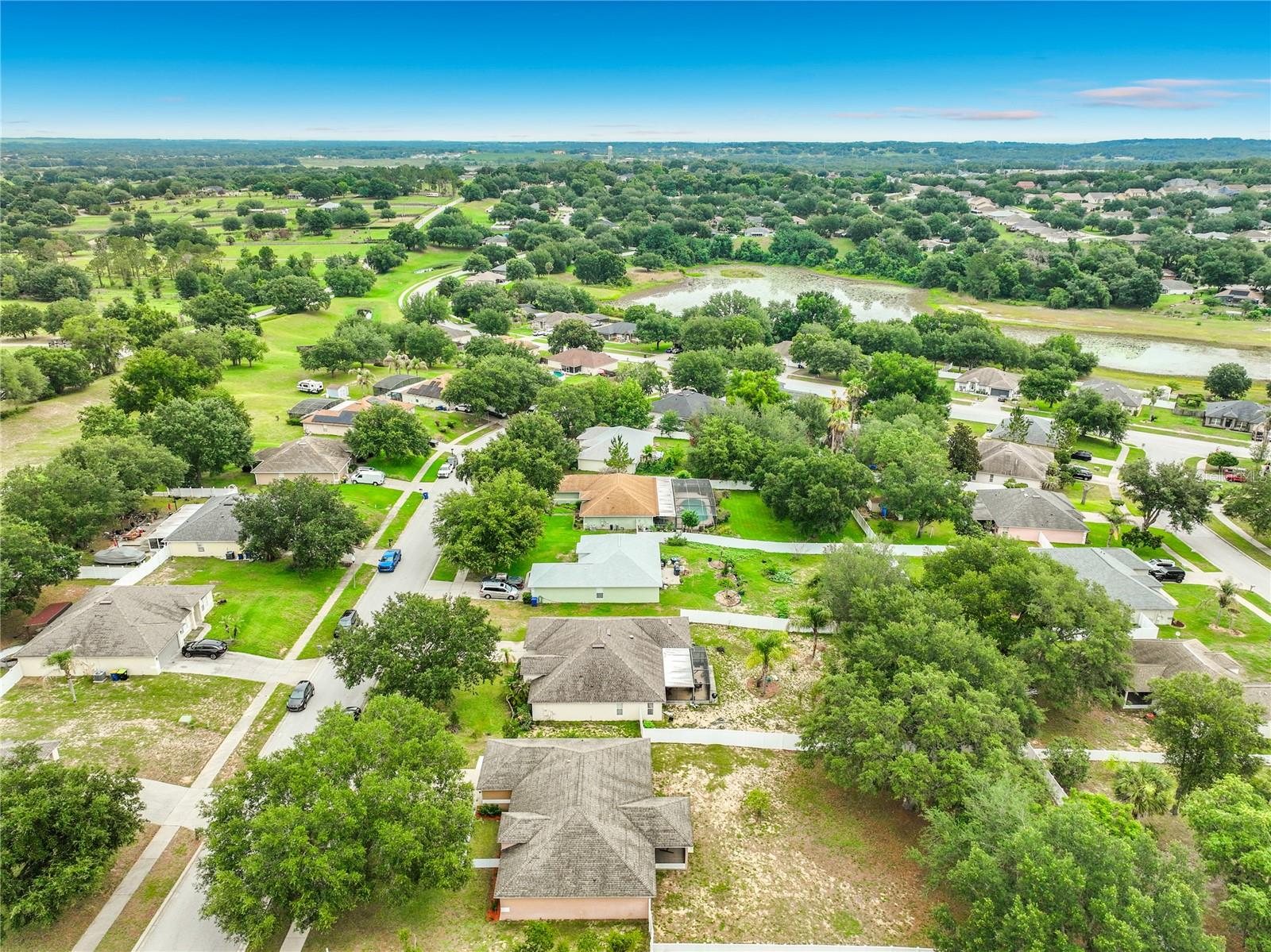 1123 LAKEVIEW OAKS DR, MINNEOLA, FL, 34715