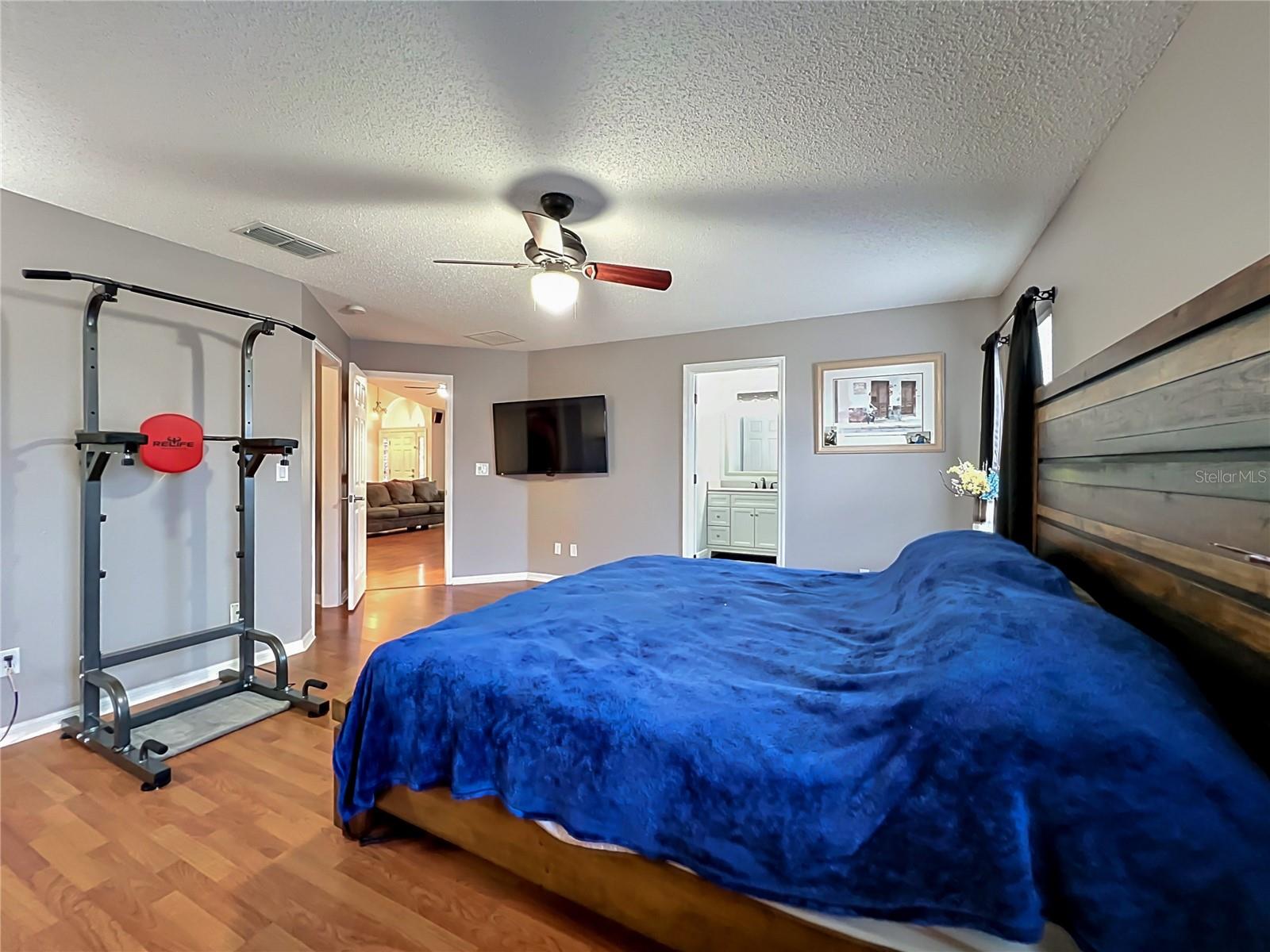 1123 LAKEVIEW OAKS DR, MINNEOLA, FL, 34715