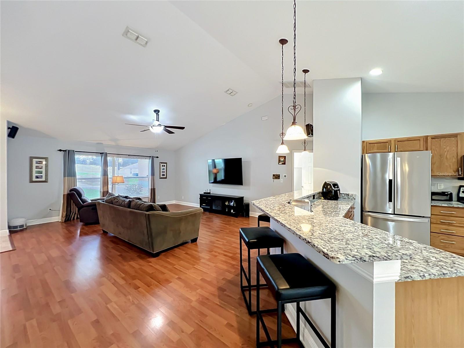 1123 LAKEVIEW OAKS DR, MINNEOLA, FL, 34715