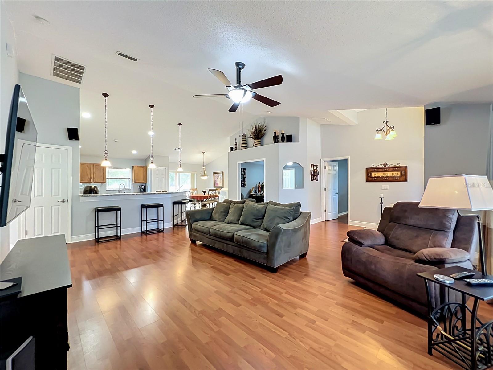 1123 LAKEVIEW OAKS DR, MINNEOLA, FL, 34715