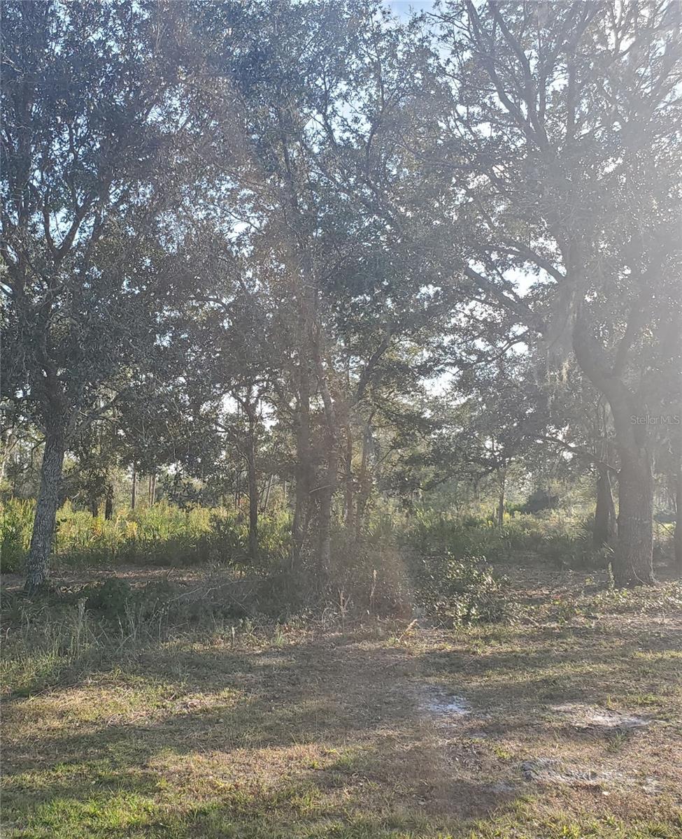 715 INDIAN LAKE DR, INDIAN LAKE ESTATES, FL, 33855