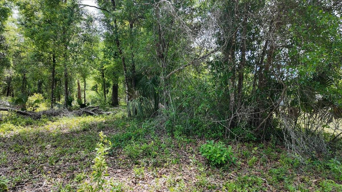 KATHERINE WAY, FANNING SPRINGS, FL, 32693