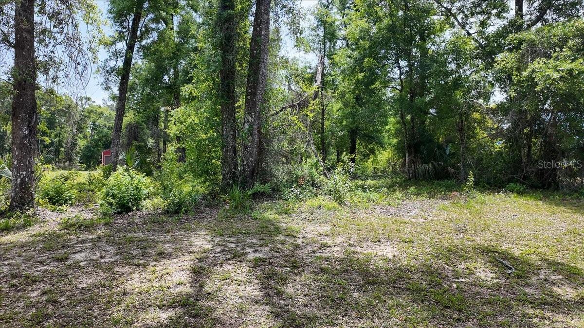 KATHERINE WAY, FANNING SPRINGS, FL, 32693
