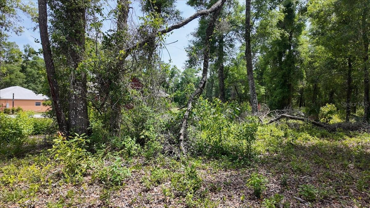 KATHERINE WAY, FANNING SPRINGS, FL, 32693