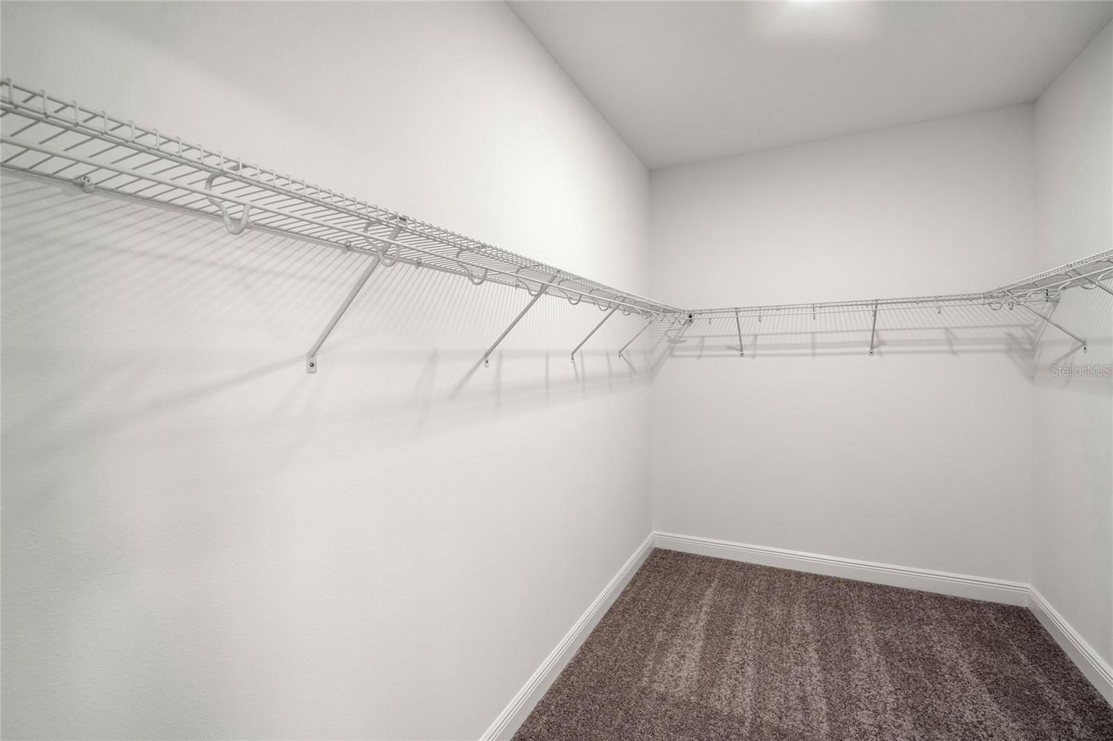 16049 SONOMA GROVE CIR, TAMPA, FL, 33647