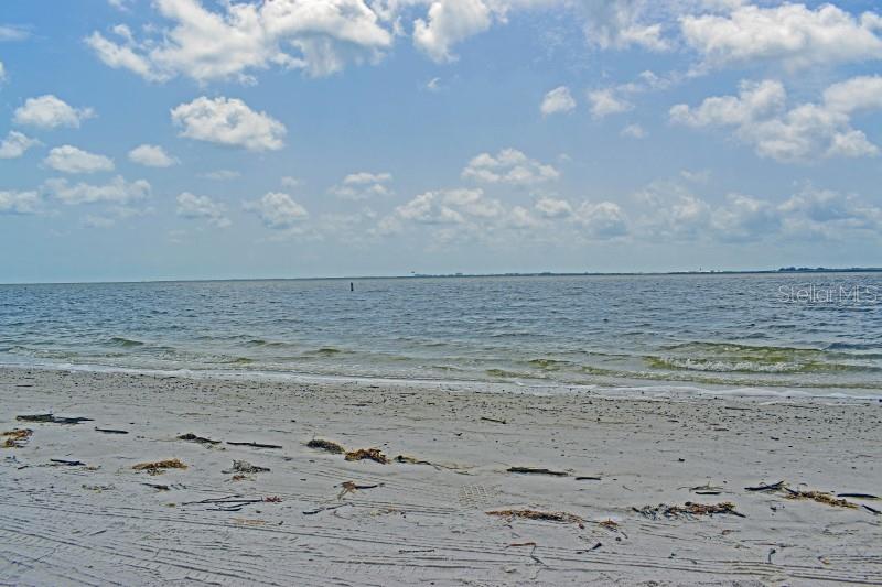2 N FERNWOOD AVE #14, CLEARWATER, FL, 33765