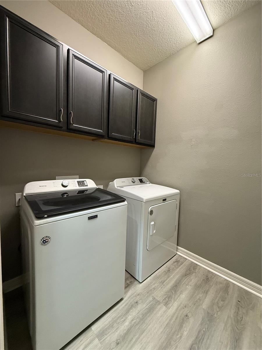 10638 LAGUNA PLAINS DR, RIVERVIEW, FL, 33578