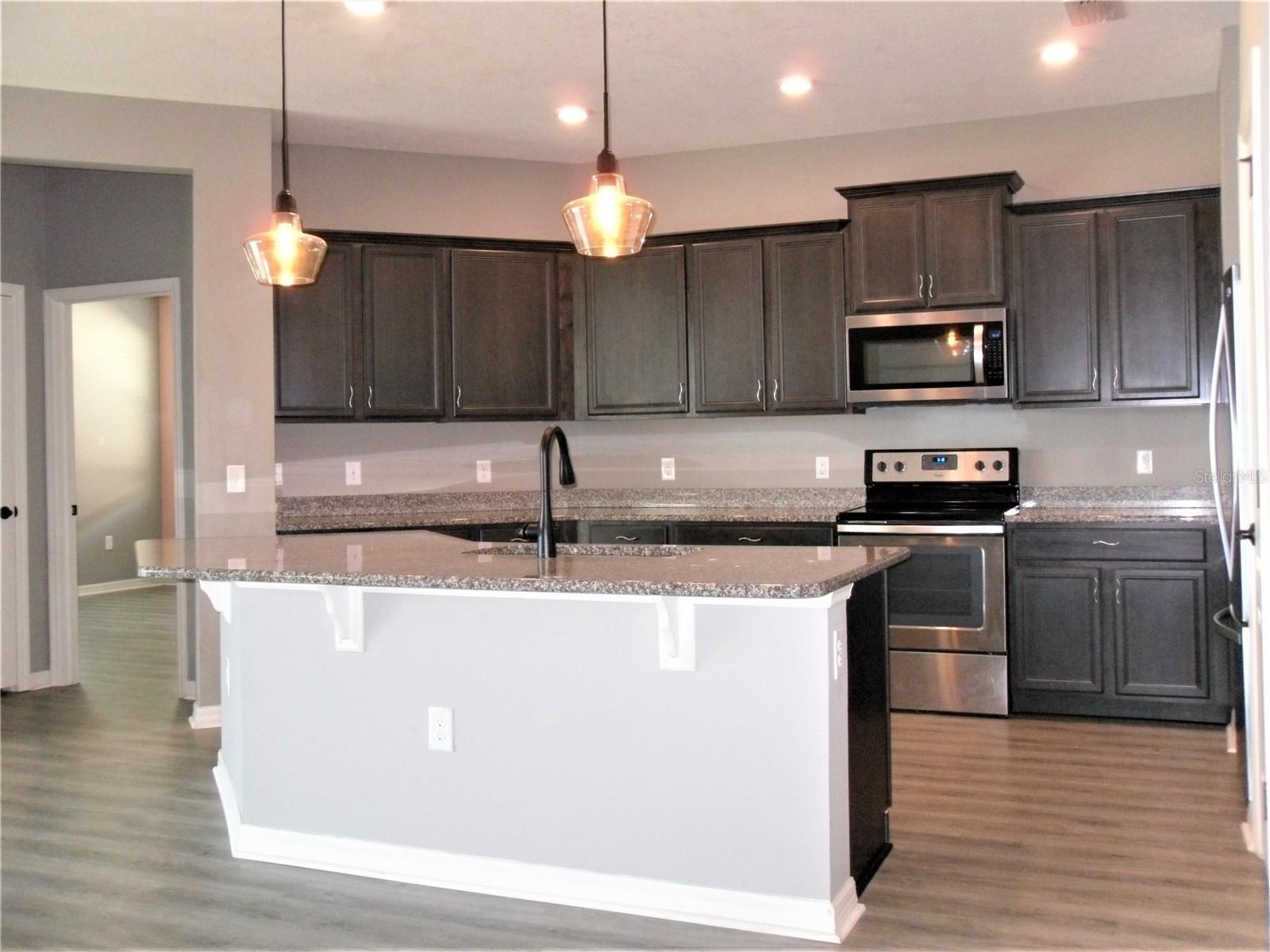 10638 LAGUNA PLAINS DR, RIVERVIEW, FL, 33578