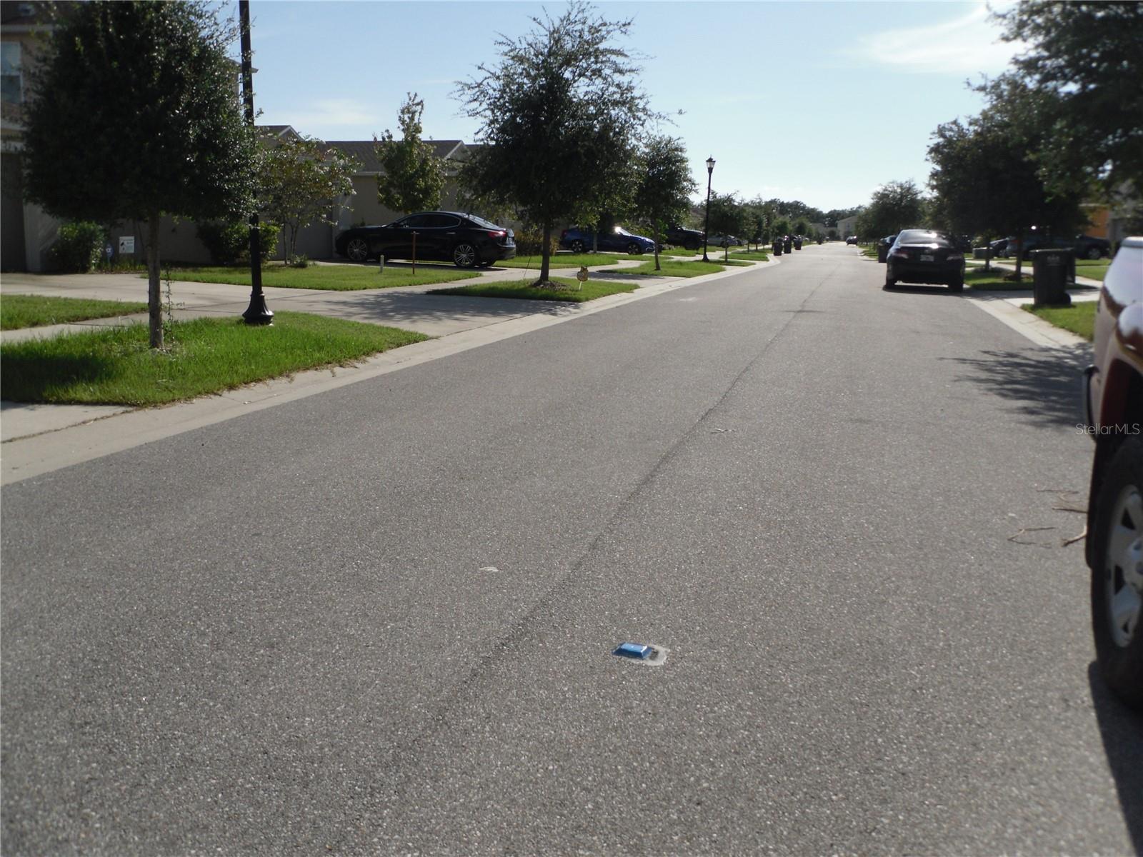 10638 LAGUNA PLAINS DR, RIVERVIEW, FL, 33578