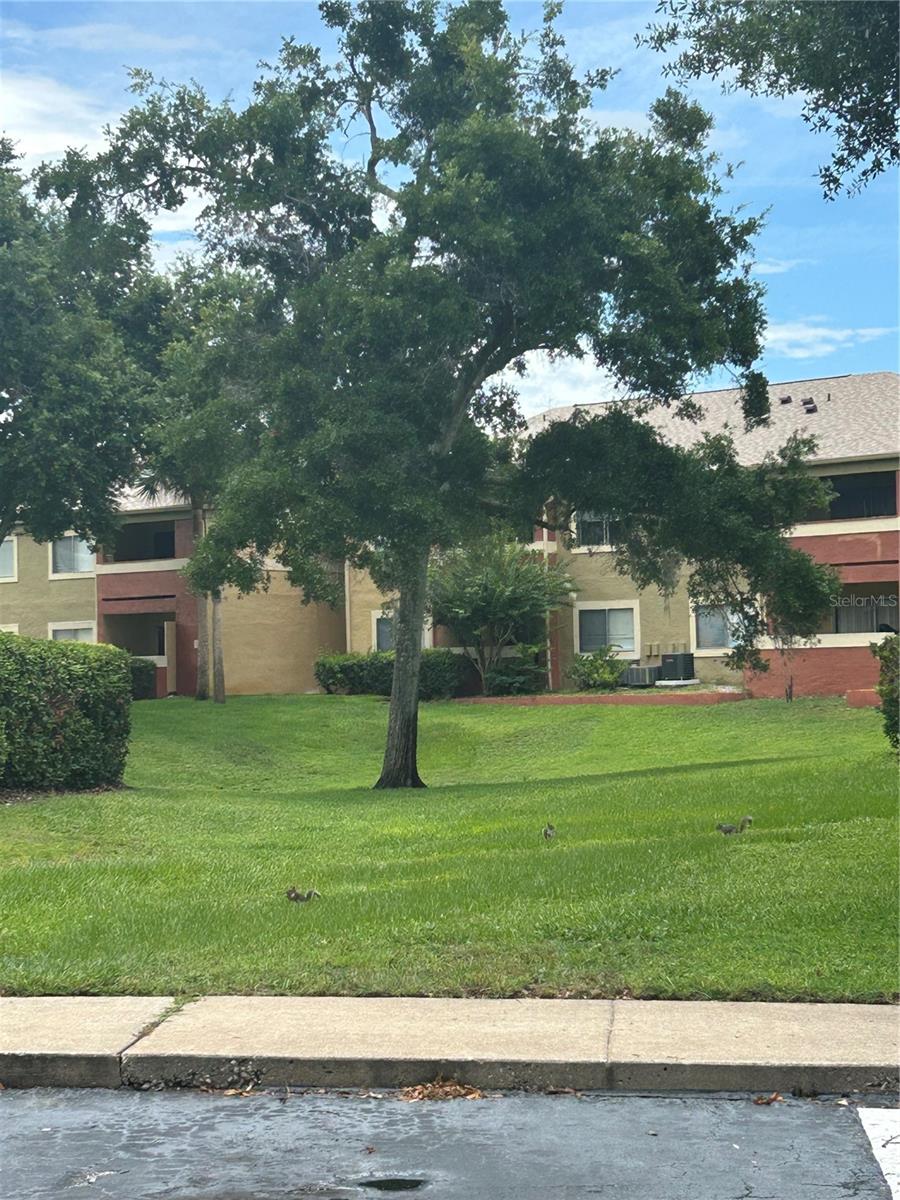 636 KENWICK CIR #105, CASSELBERRY, FL, 32707