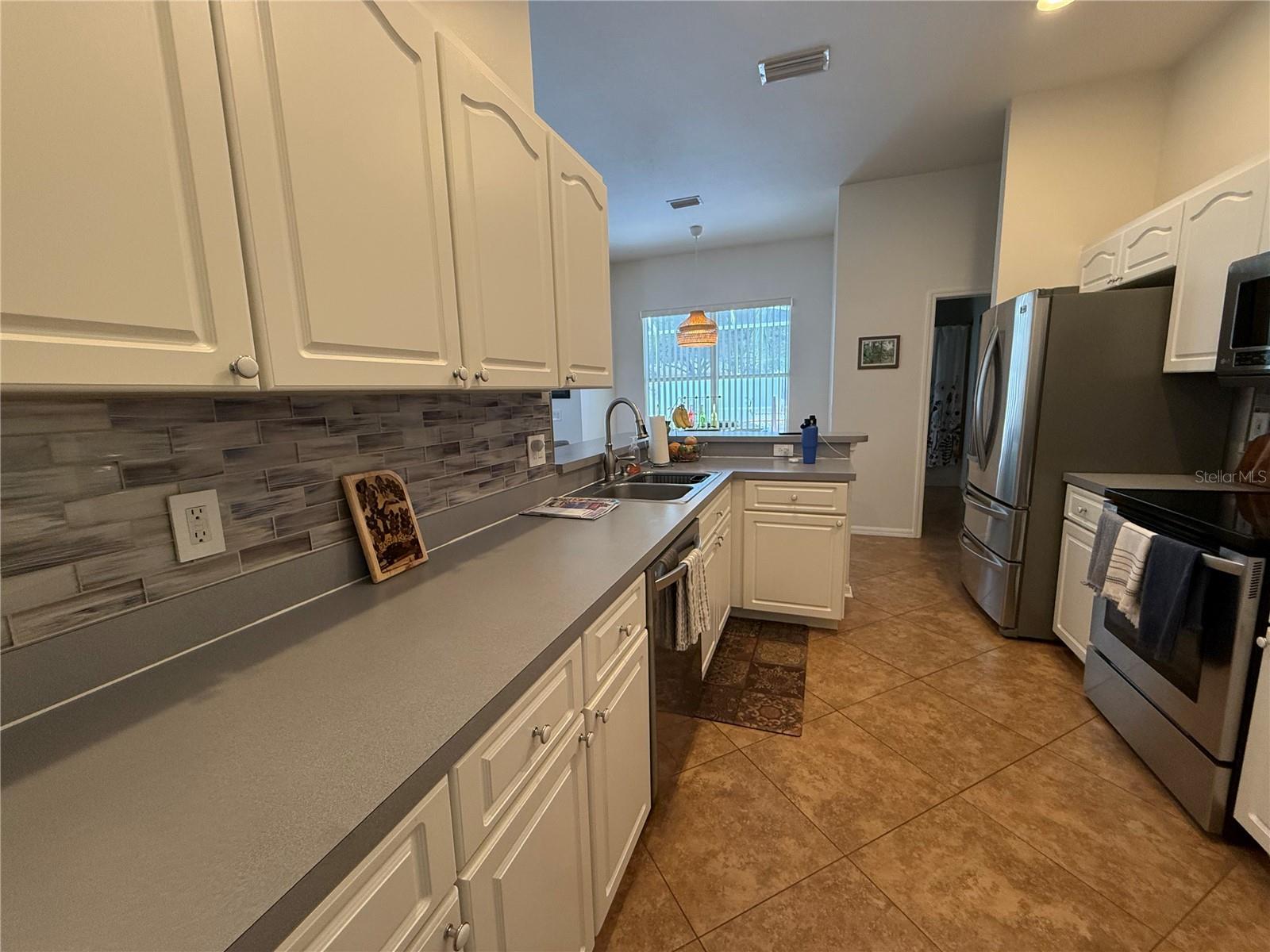 4109 AMBER RIDGE LN, VALRICO, FL, 33594