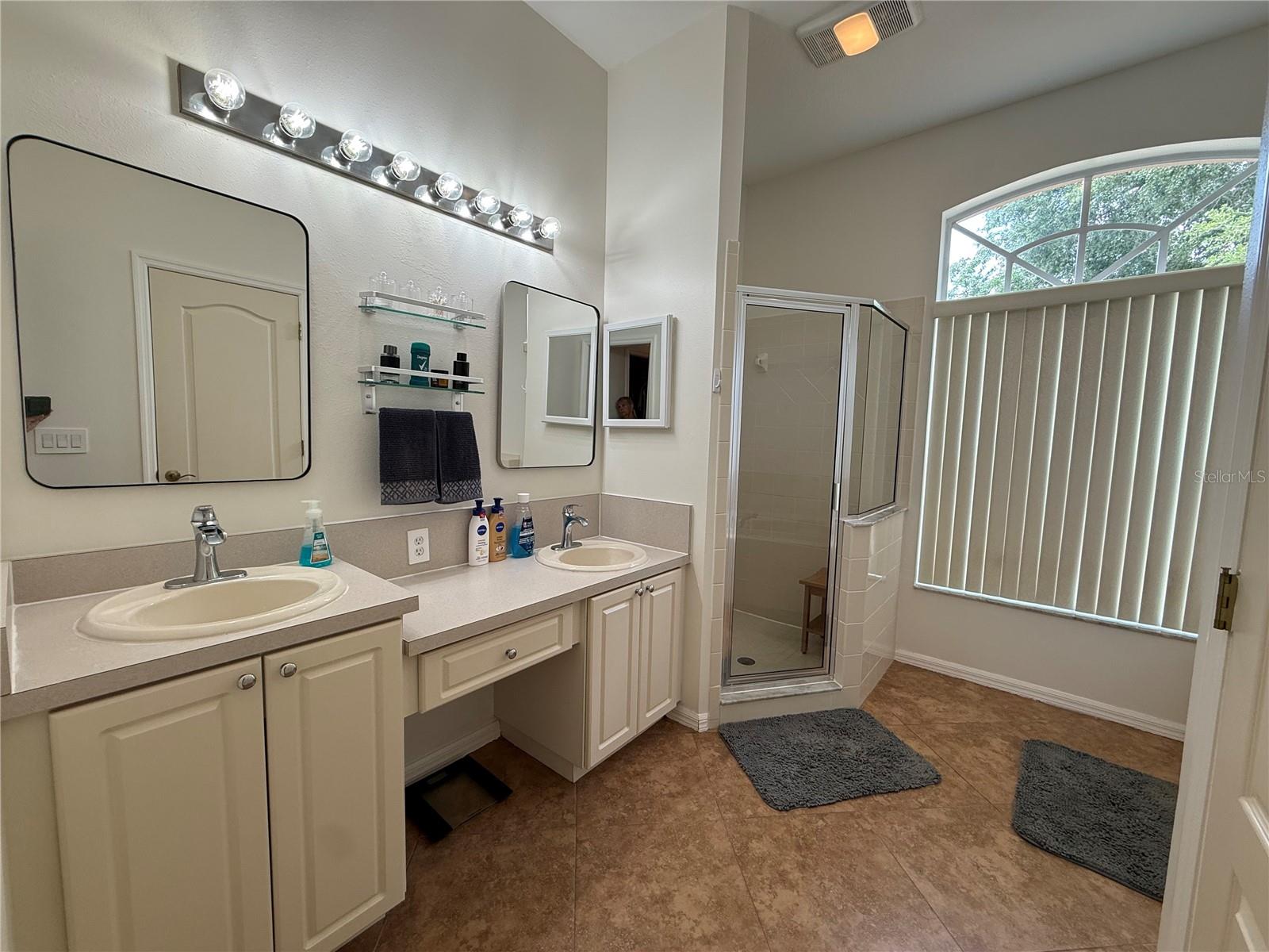 4109 AMBER RIDGE LN, VALRICO, FL, 33594
