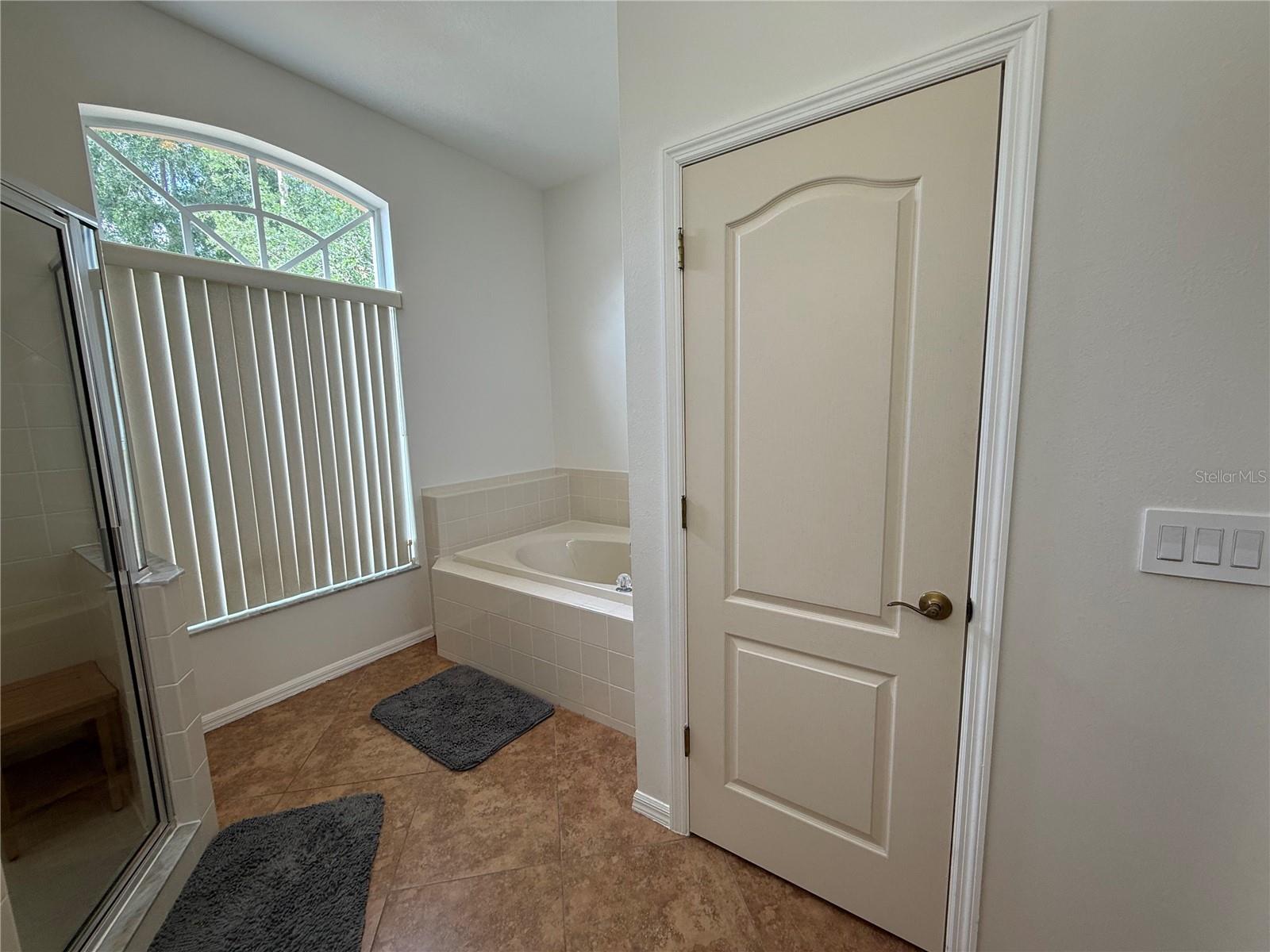 4109 AMBER RIDGE LN, VALRICO, FL, 33594
