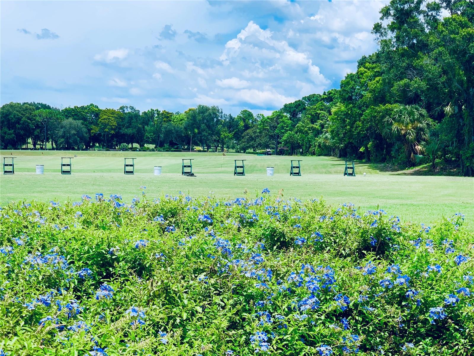 36750 US HIGHWAY 19 N #19-115, PALM HARBOR, FL, 34683