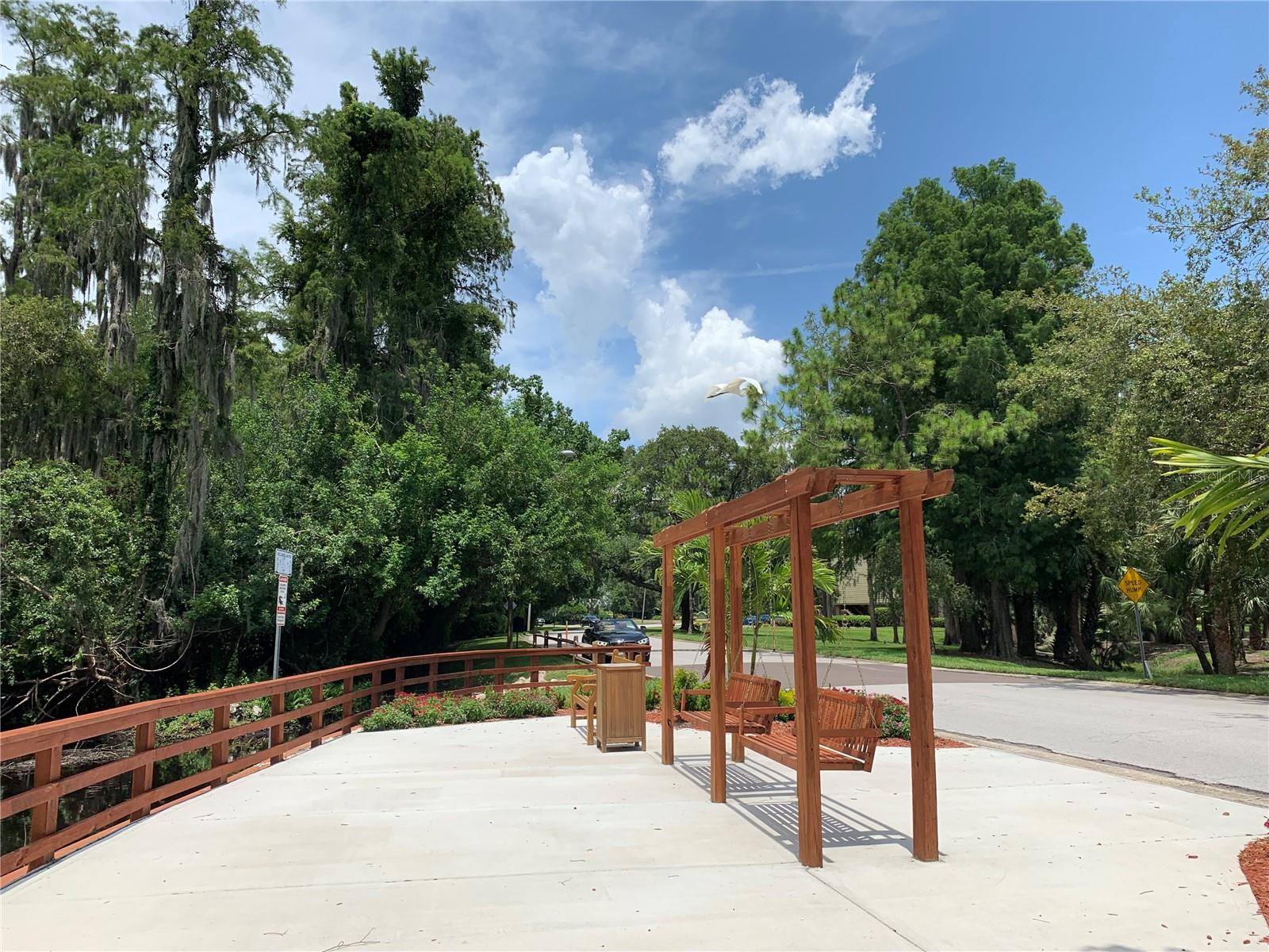 36750 US HIGHWAY 19 N #19-115, PALM HARBOR, FL, 34683