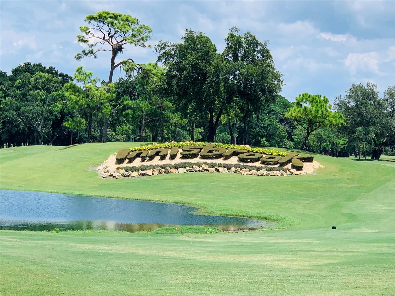 36750 US HIGHWAY 19 N #19-115, PALM HARBOR, FL, 34683