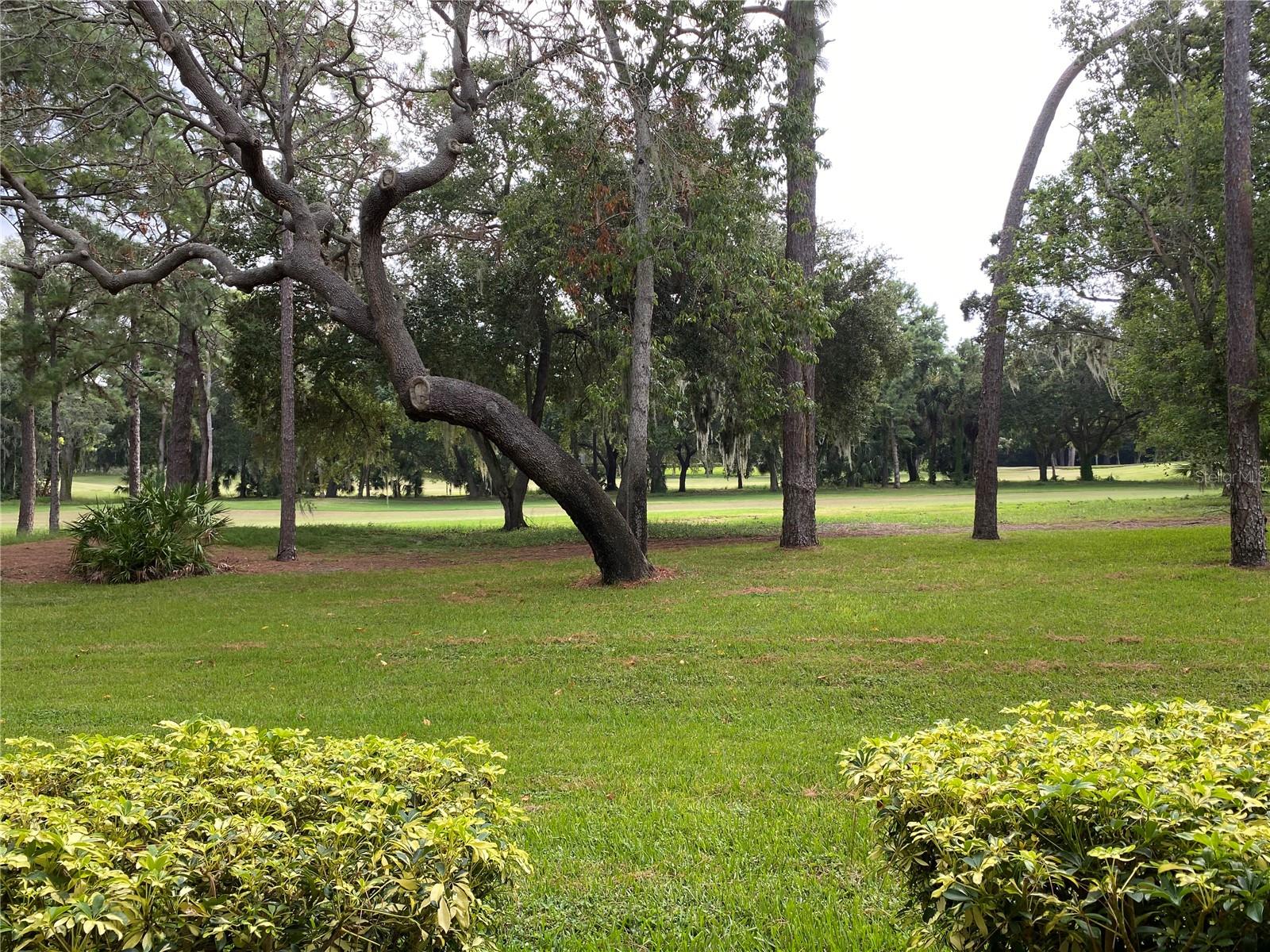 36750 US HIGHWAY 19 N #19-115, PALM HARBOR, FL, 34683