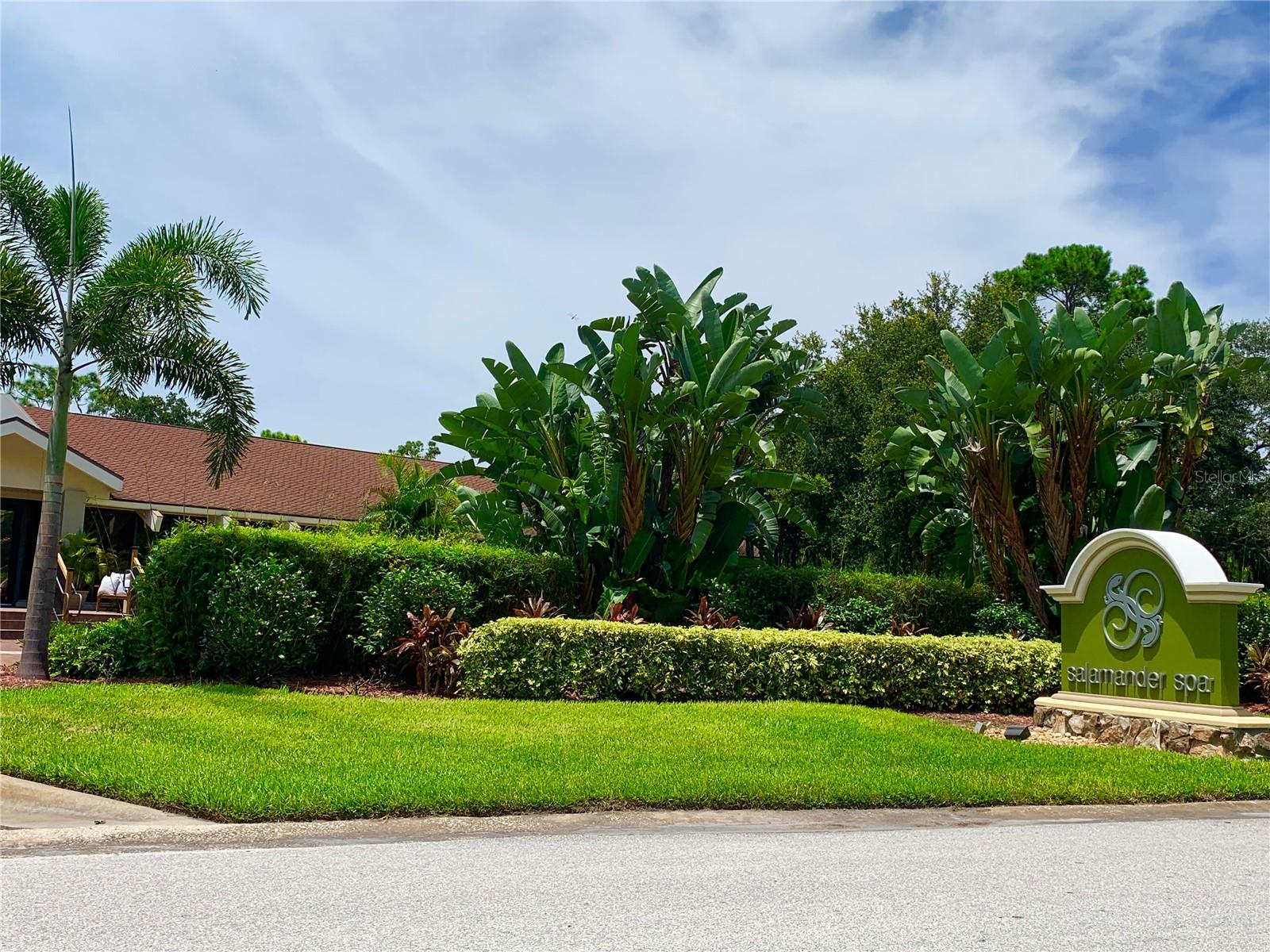 36750 US HIGHWAY 19 N #19-115, PALM HARBOR, FL, 34683