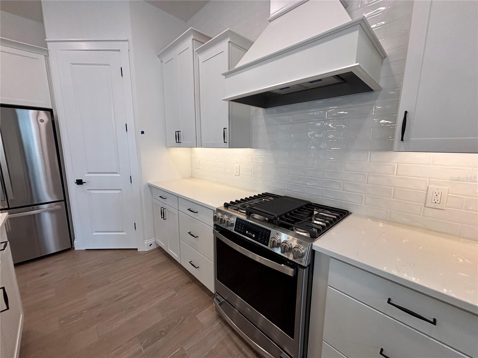 15549 GENTLE RAIN DR, WINTER GARDEN, FL, 34787