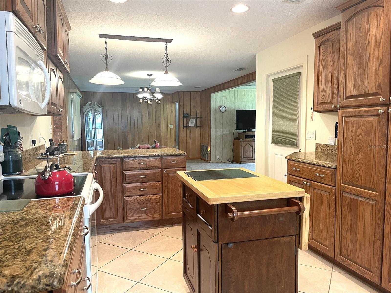 4691 CR 118, WILDWOOD, FL, 34785