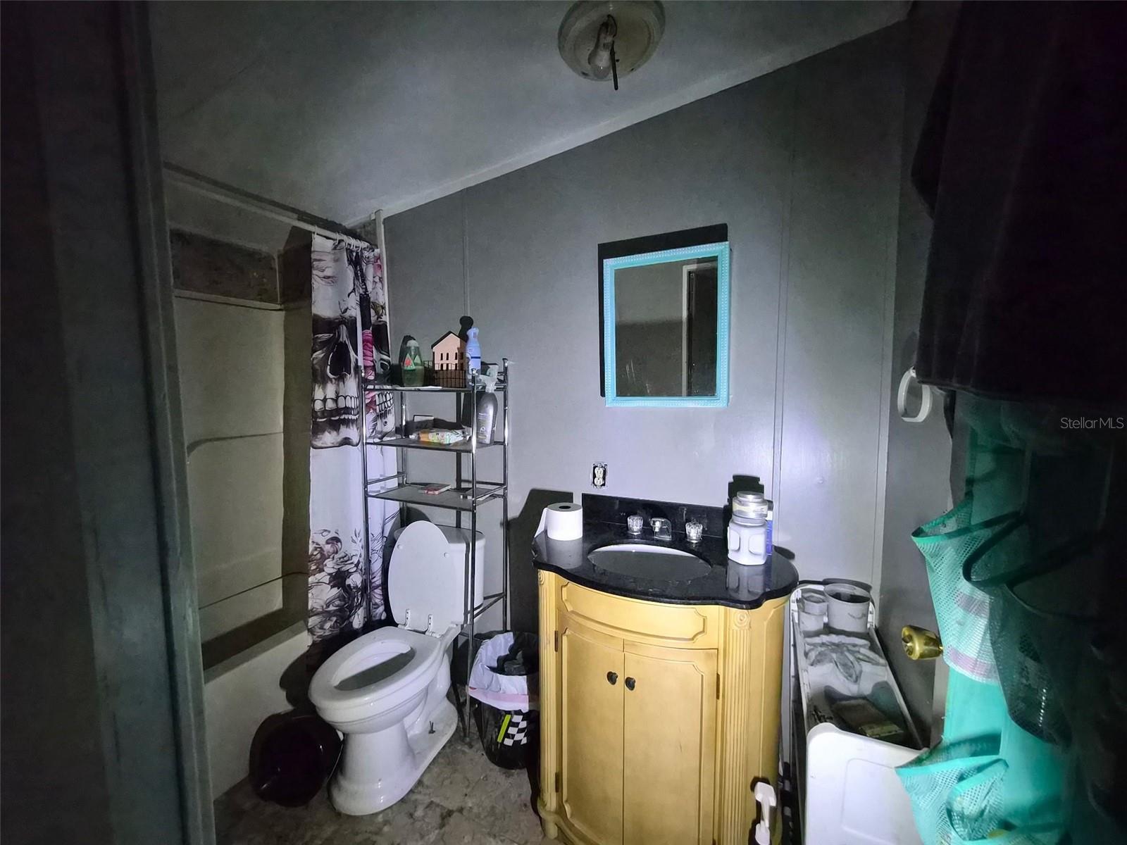 14179 NE 53RD COURT RD, CITRA, FL, 32113