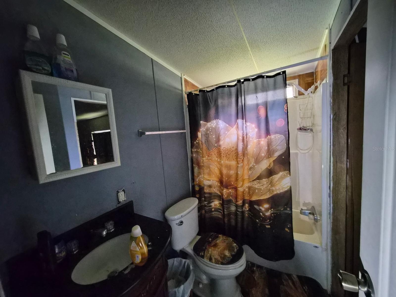 14179 NE 53RD COURT RD, CITRA, FL, 32113