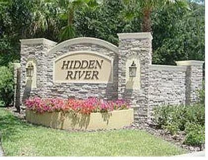 13805 RIVER FISH CT, TAMPA, FL, 33637