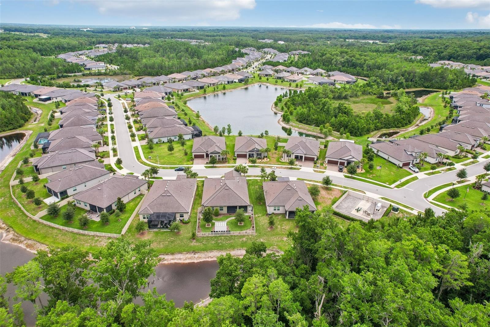 11040 BANYAN BREEZE BLVD, LAND O LAKES, FL, 34638