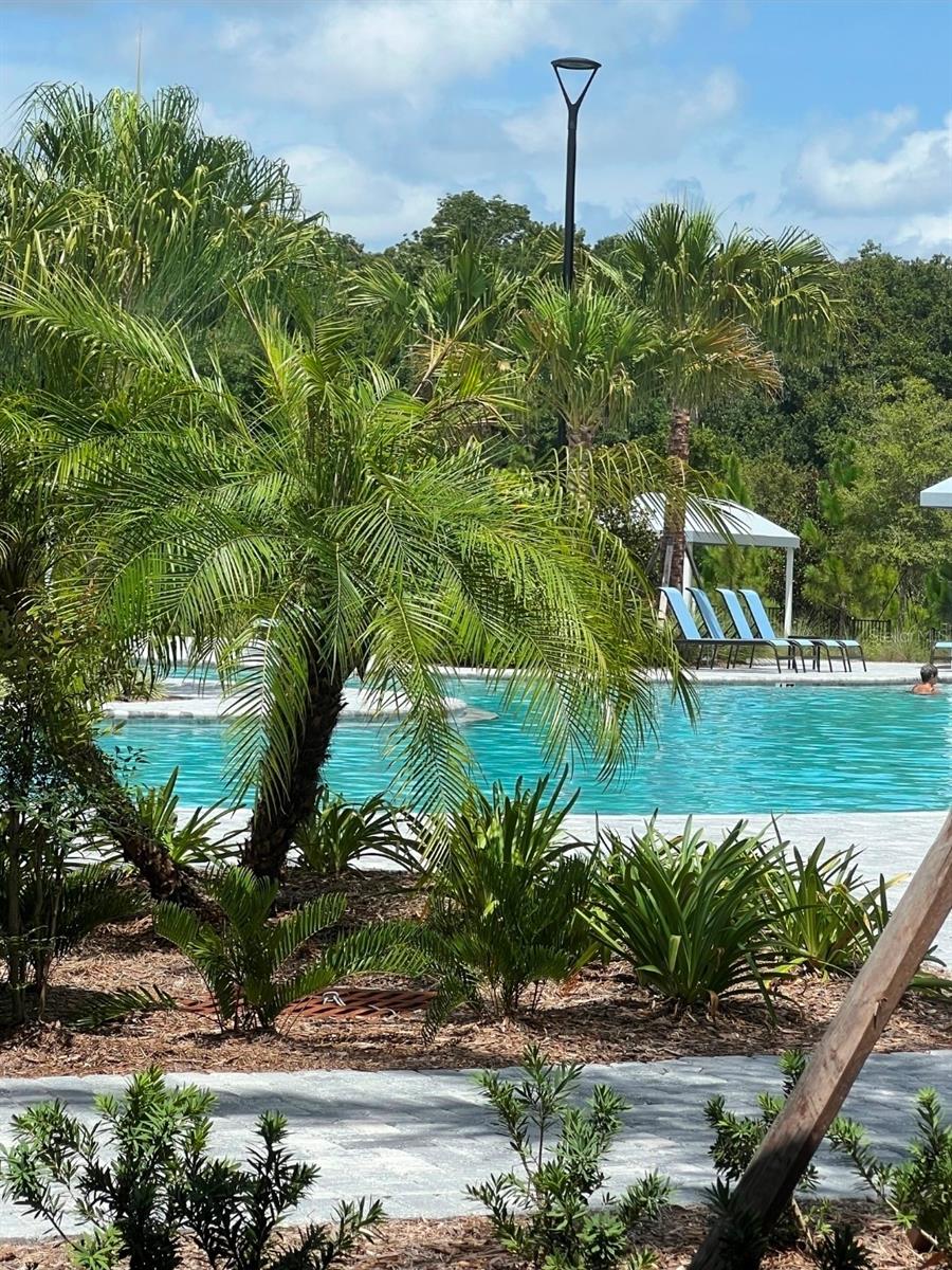 11040 BANYAN BREEZE BLVD, LAND O LAKES, FL, 34638