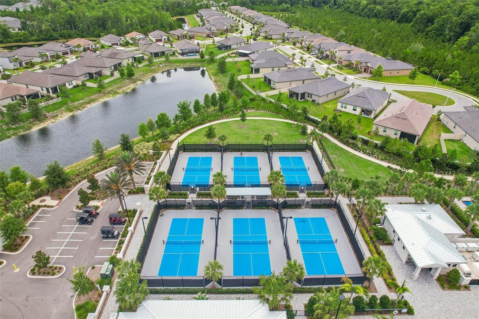 11040 BANYAN BREEZE BLVD, LAND O LAKES, FL, 34638