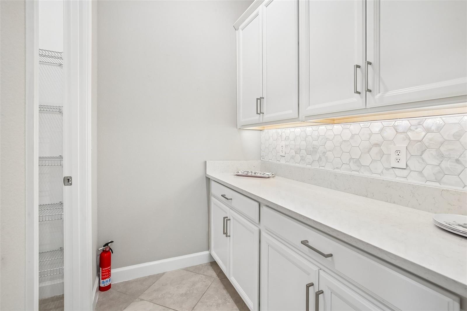 11040 BANYAN BREEZE BLVD, LAND O LAKES, FL, 34638